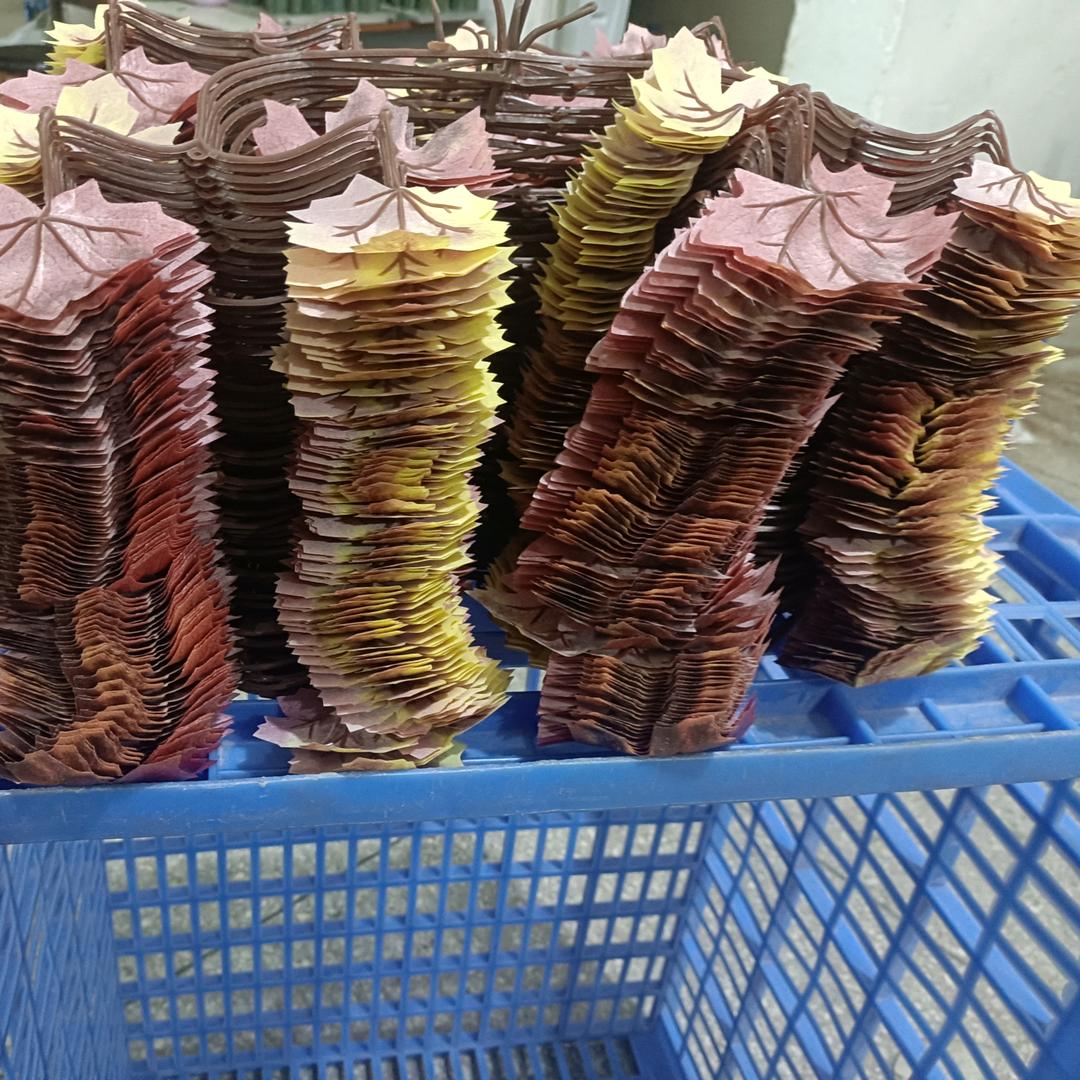 开心开心么么哒😘