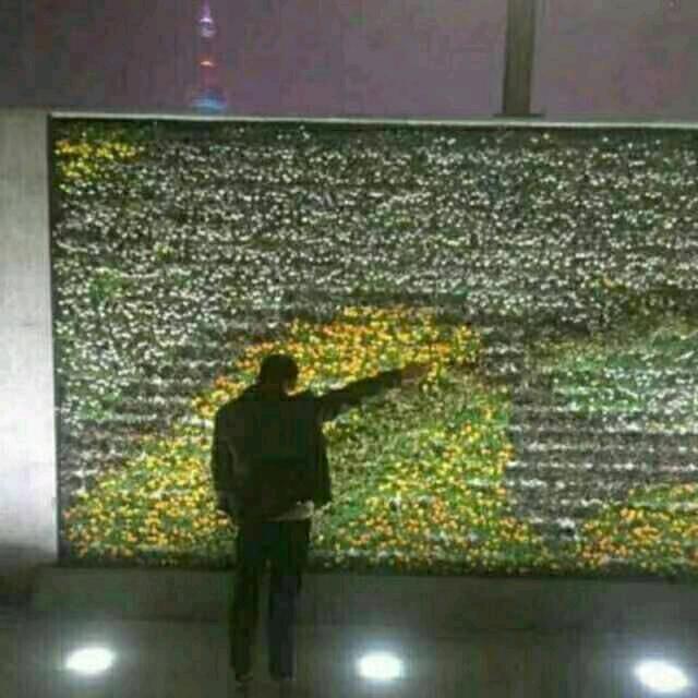 不瘦十斤不改头像