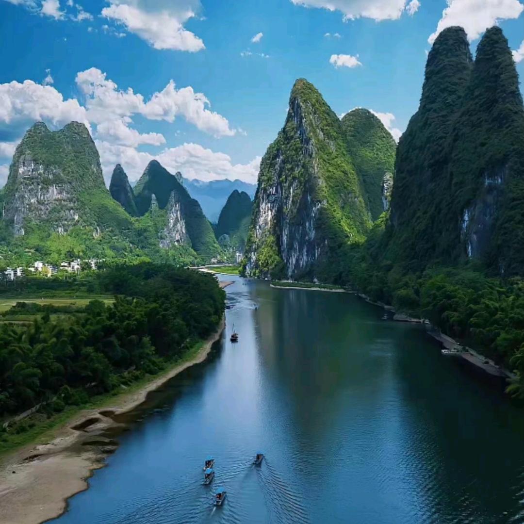 开心果果