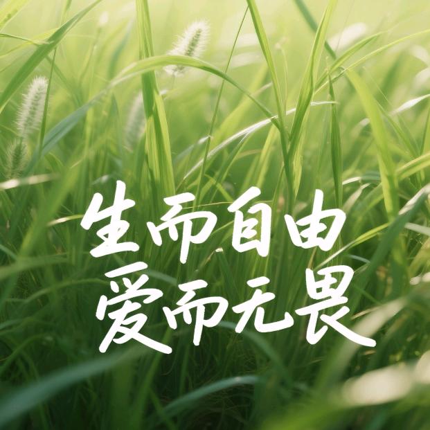 宝宝贝贝