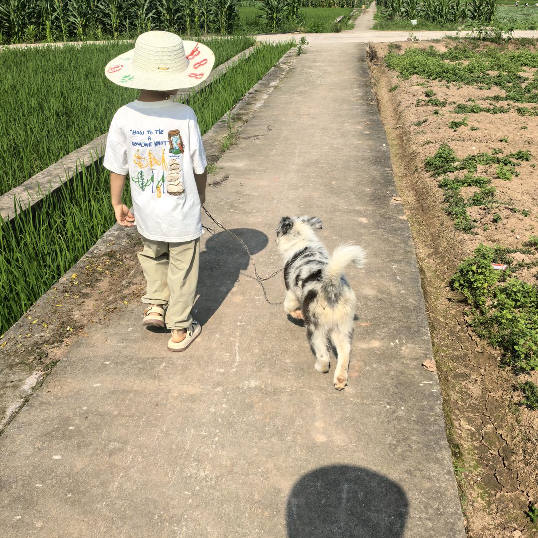 请叫我强娃