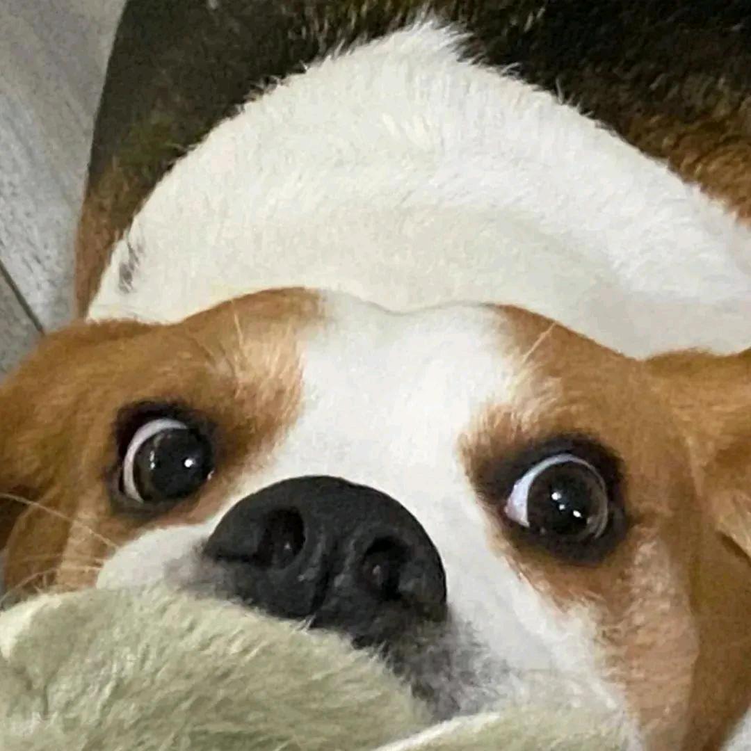 〇〇〇〇