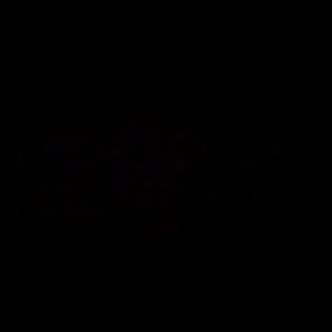 龙飞扬