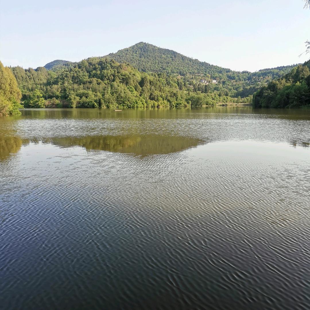 水