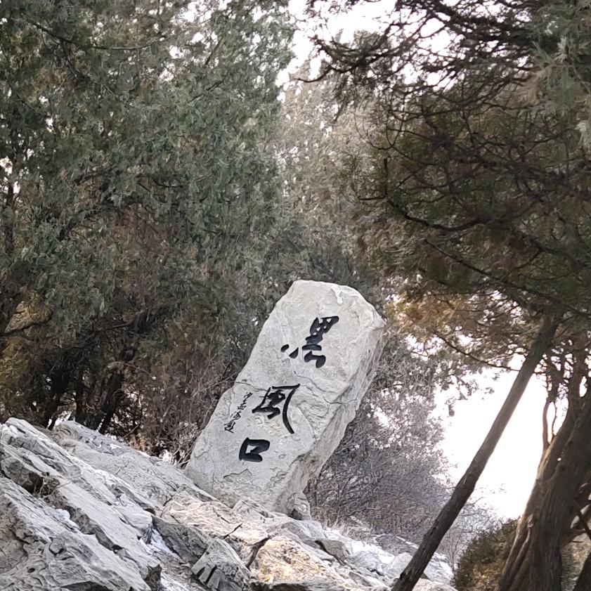推荐好物