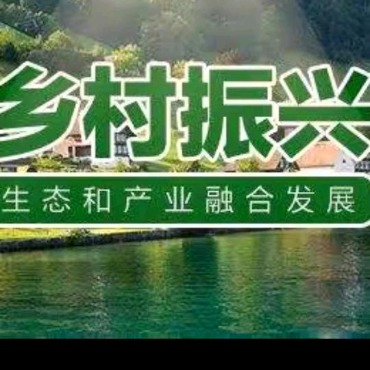 🇨🇳三农人🇨🇳