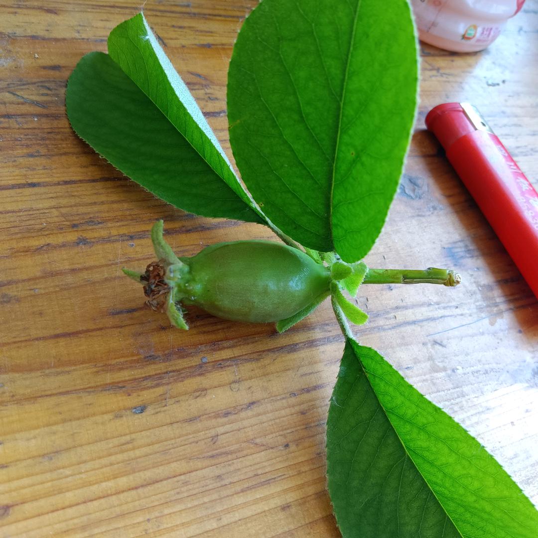 单县众奥通达汽车维修