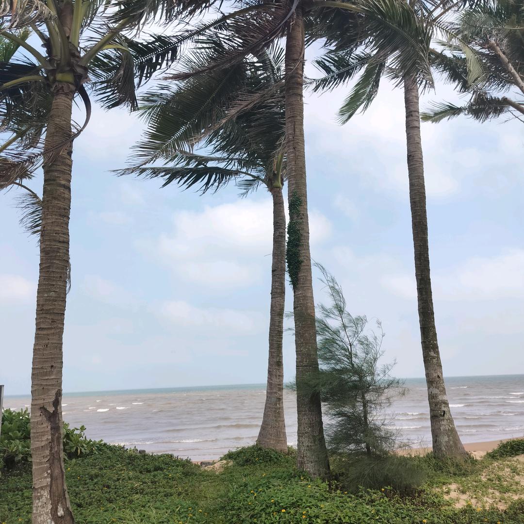 海安，