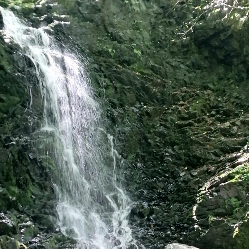 小手冰凉没人疼