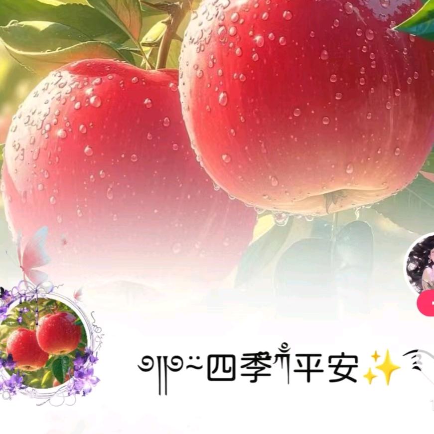眼镜👓厨师哥