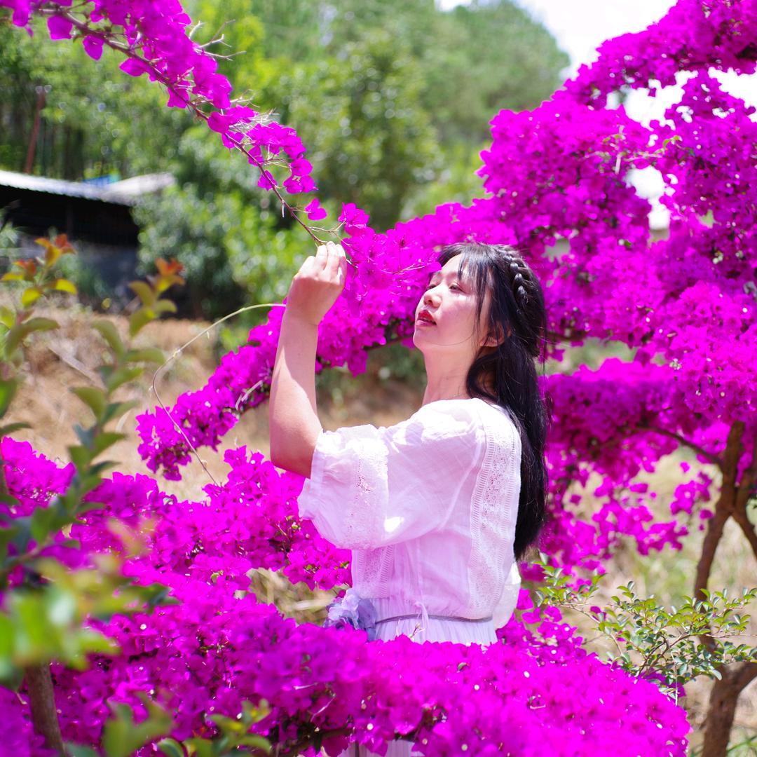 若愚
