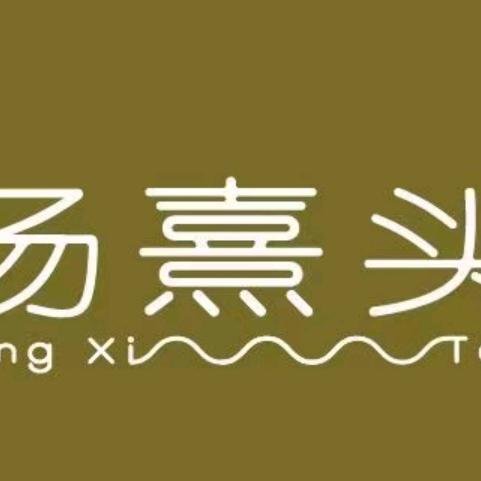 汤熹头头疗全国招商中