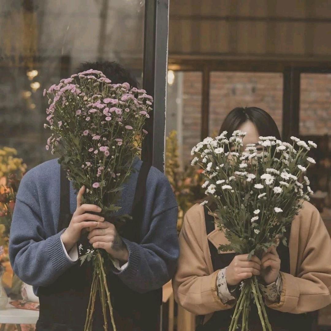 汪呆呆🐏