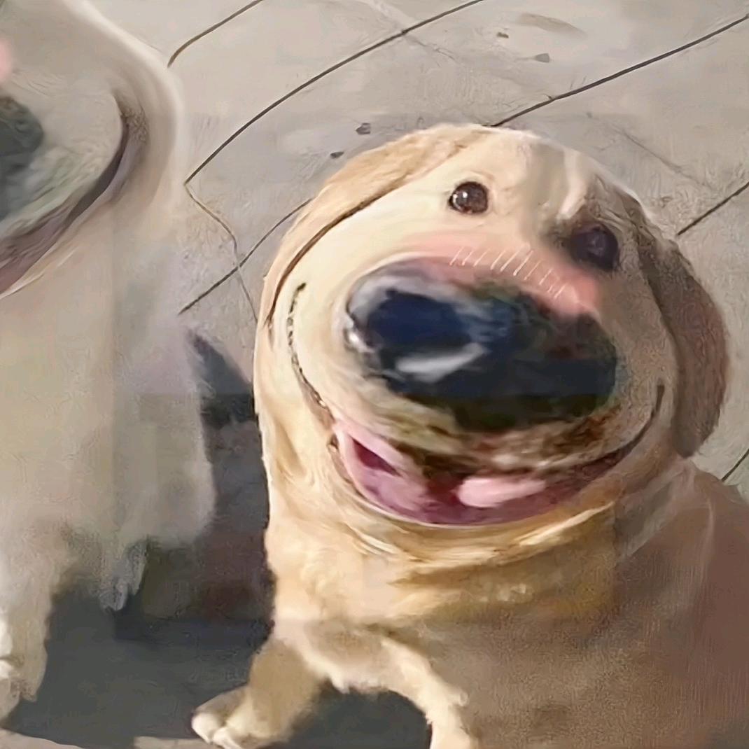 78.37