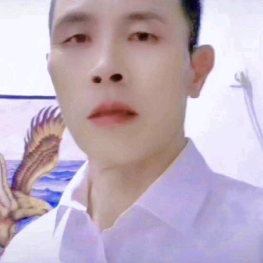 车来车往