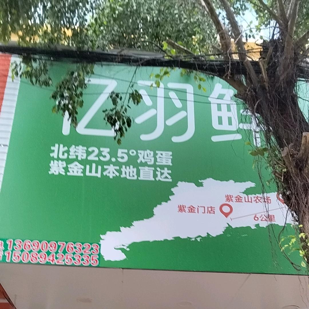 亿羽鲜