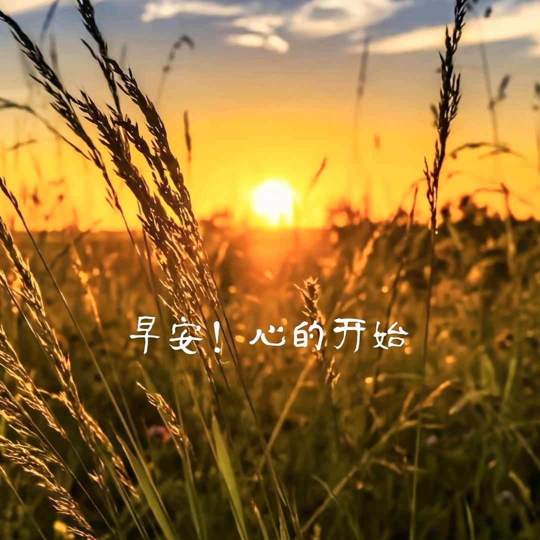 菰獨↗哒清醒