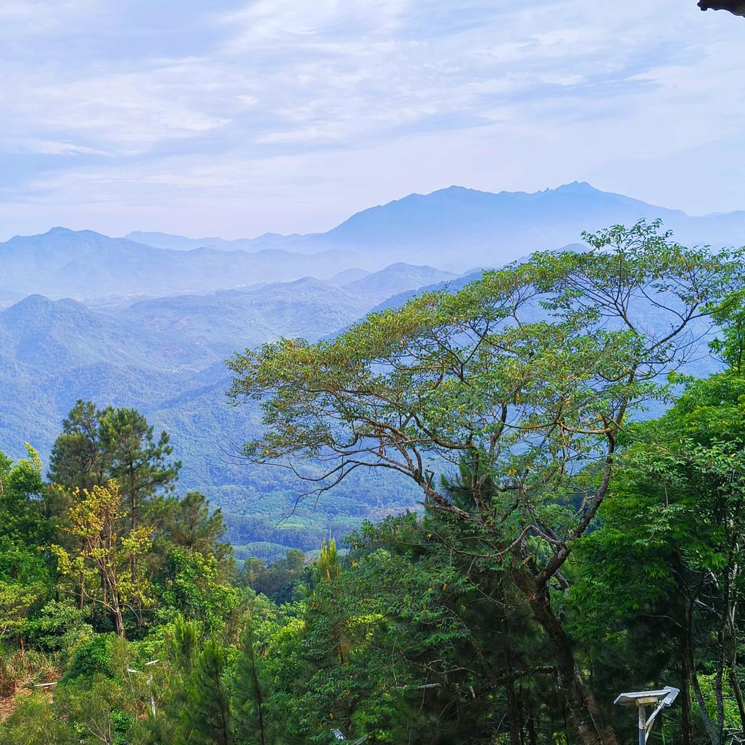 每一天都有小星星