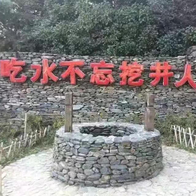 没心没肺的活着