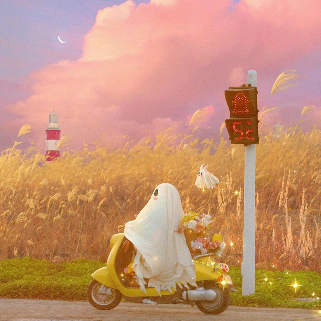 🌊浪浪山的浪浪小小怪