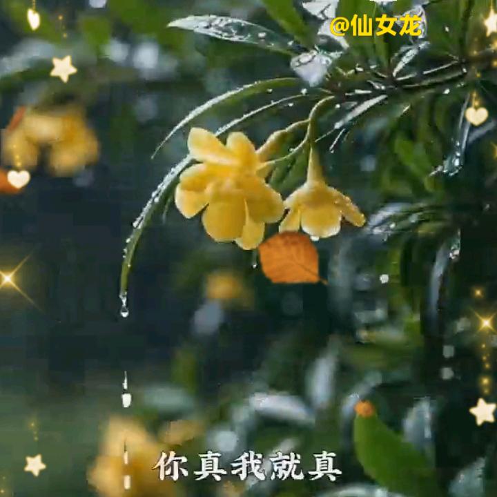余生安好