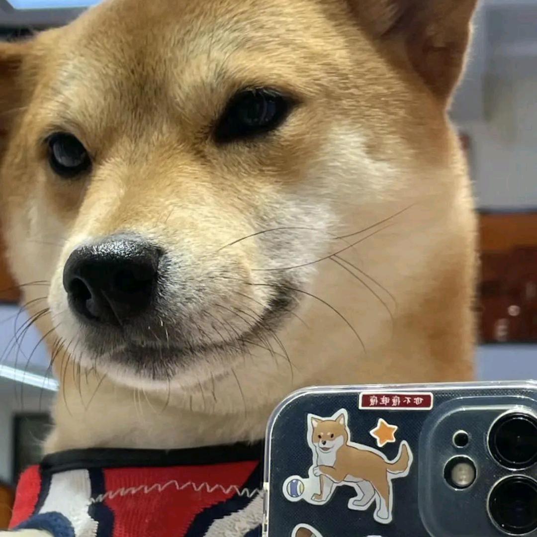 欢乐水世界陈教练