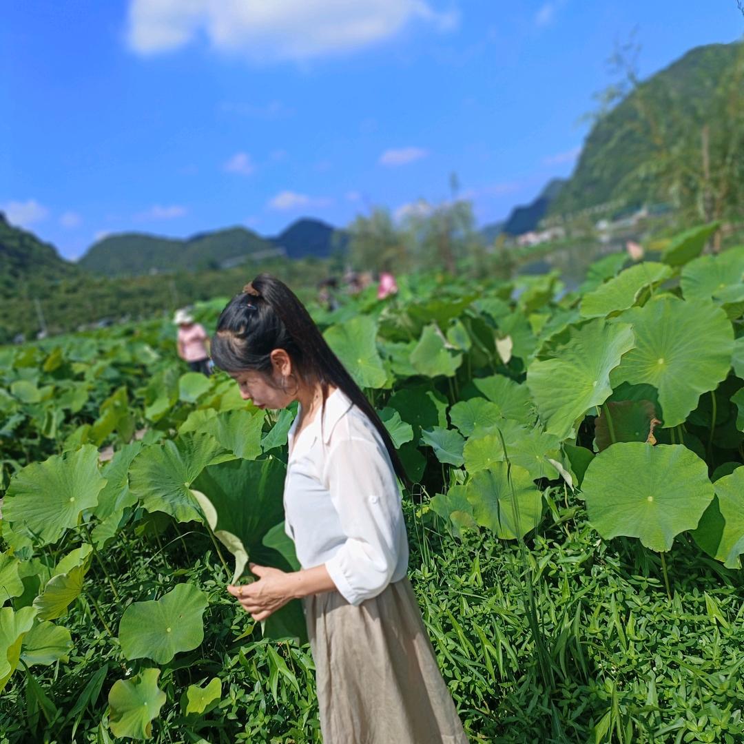 执着.