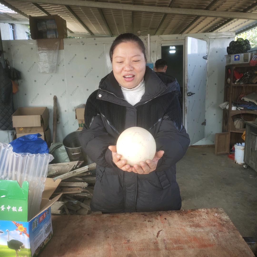 梅姐养殖