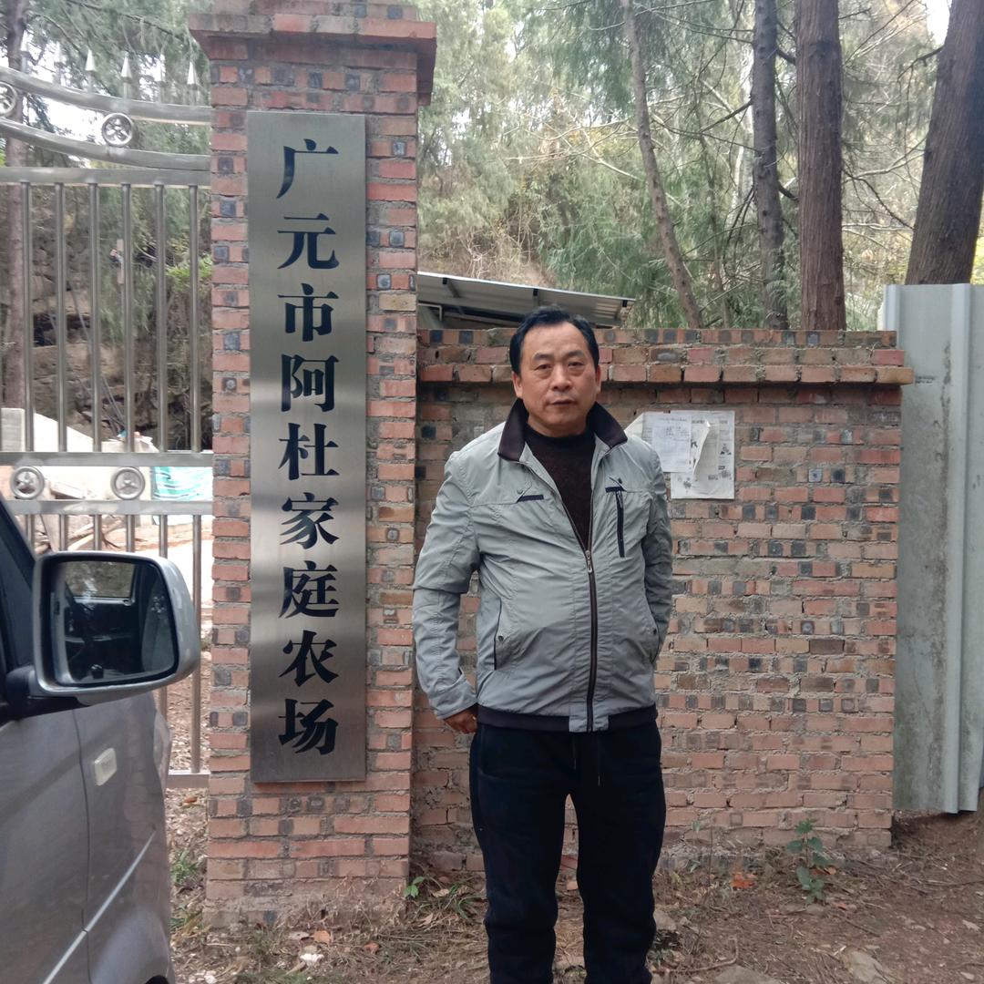 自强不息