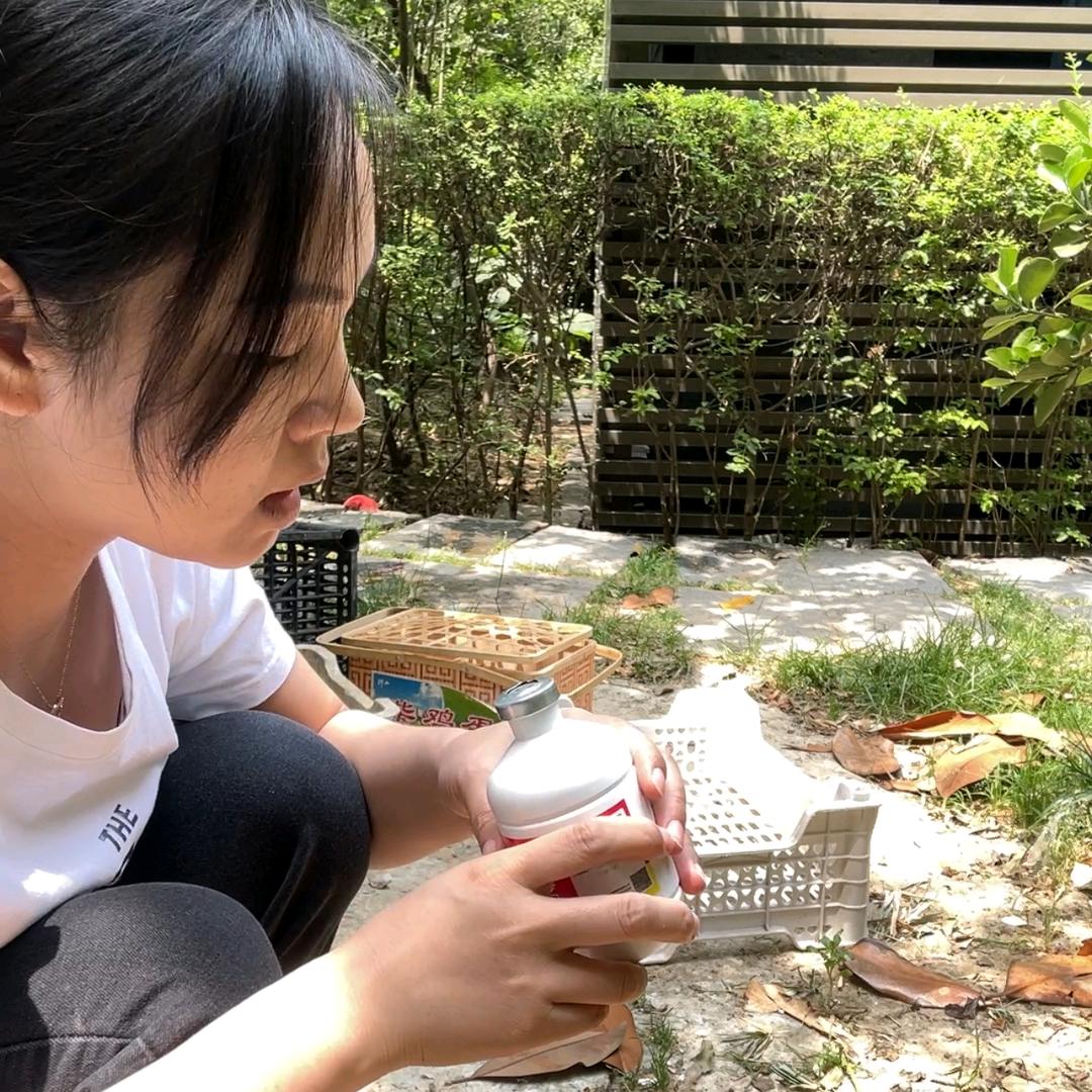 平凡养鸡人