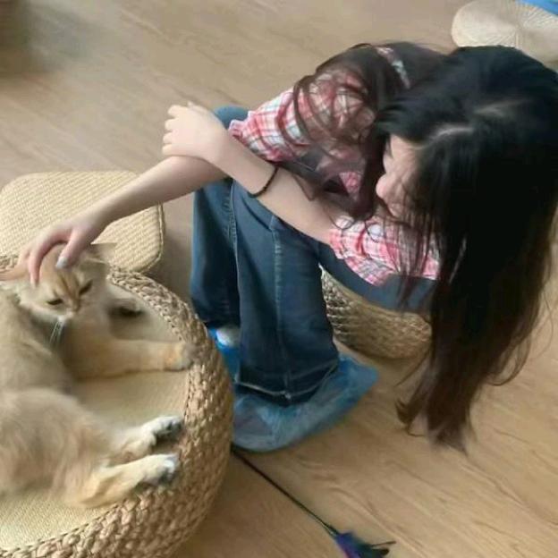 晚溪