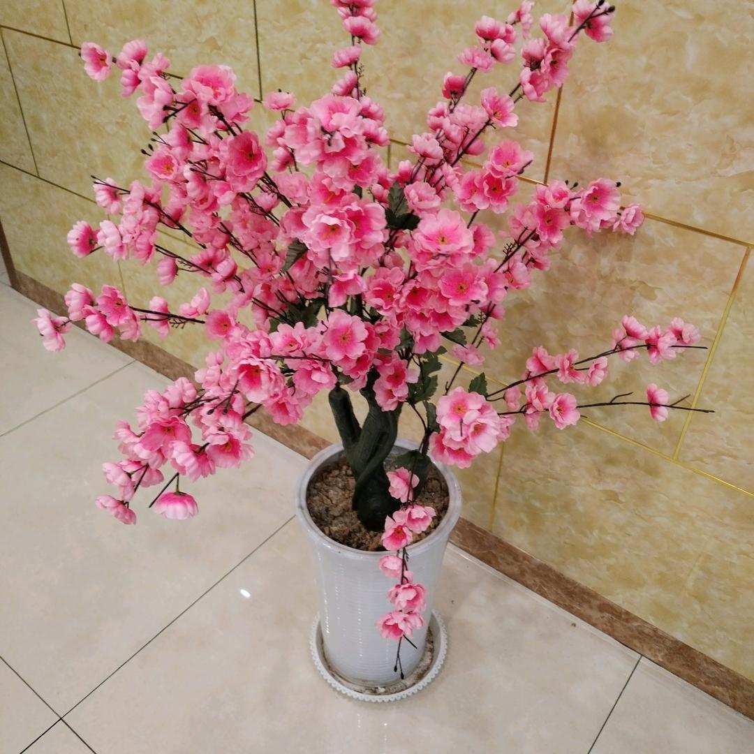 快乐家族