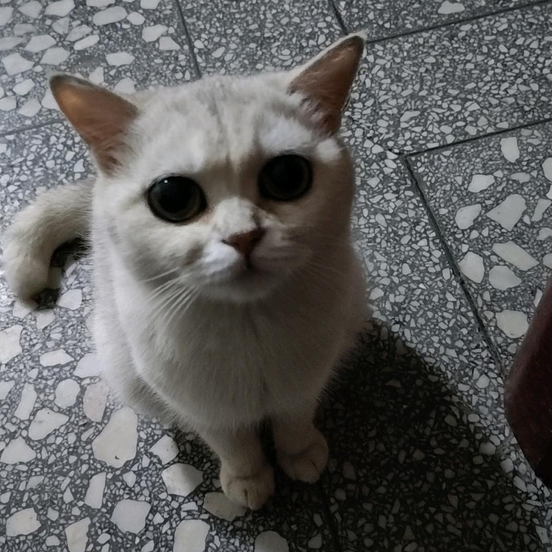 ㅤㅤㅤㅤㅤㅤㅤㅤ