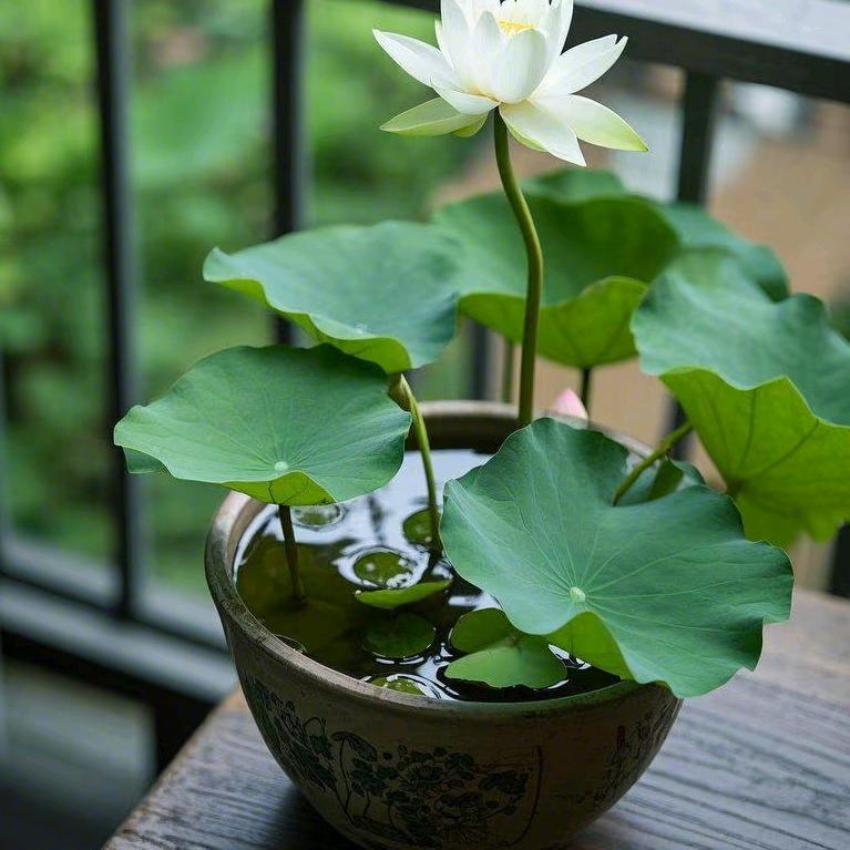 工厂直发～刘老板