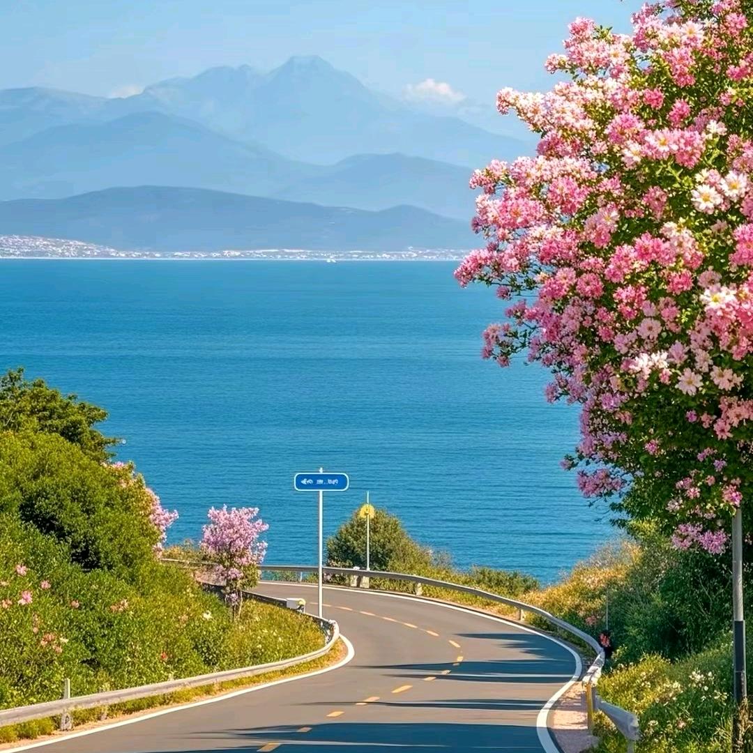 风浪越大鱼越贵