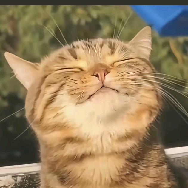 @/