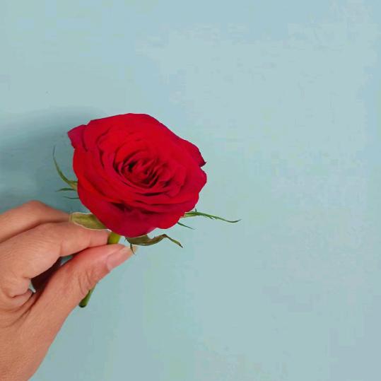 薜姐
