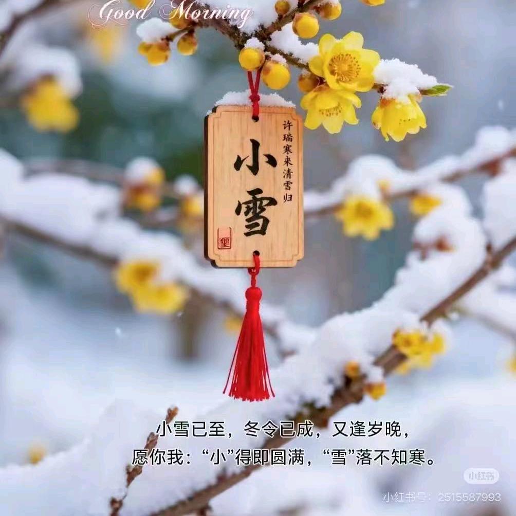 智慧文化—交流读书会