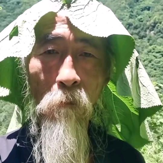 破红尘