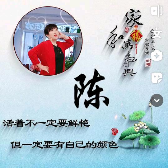 陈姐《聊天拉黑》