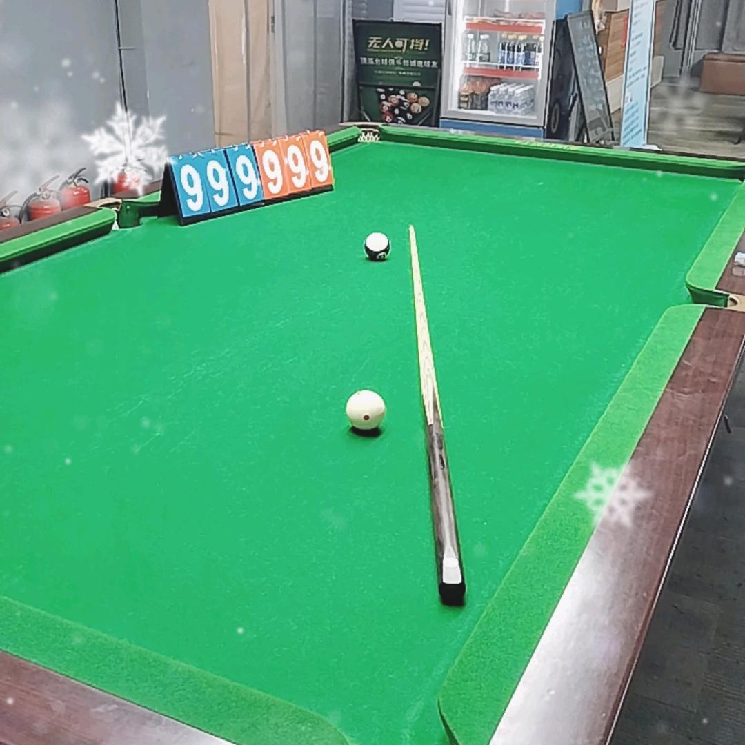 如皋-顶泓台球