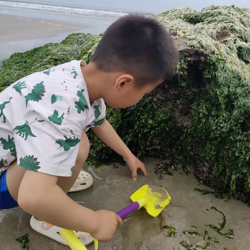 小鱼儿吖