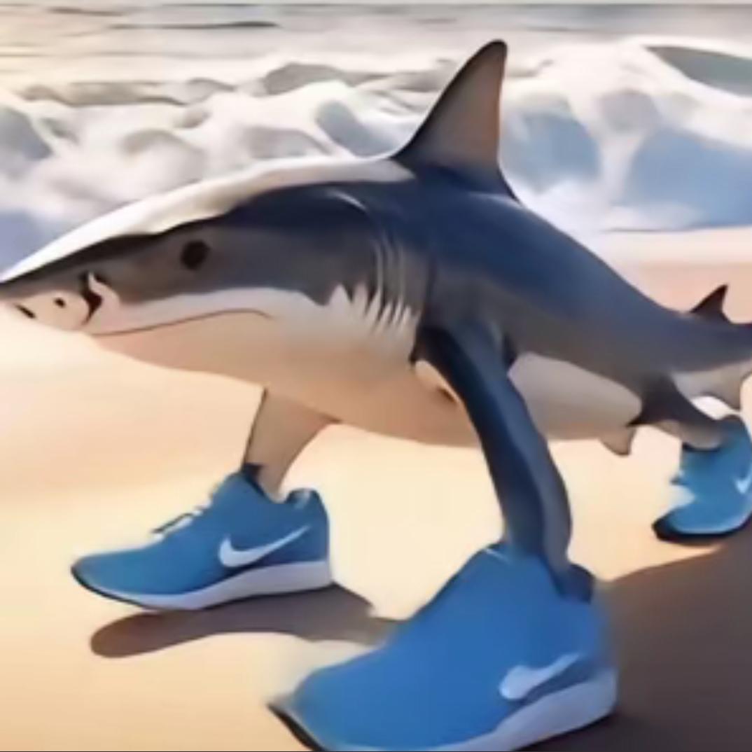 Nikeshark(开学停更)