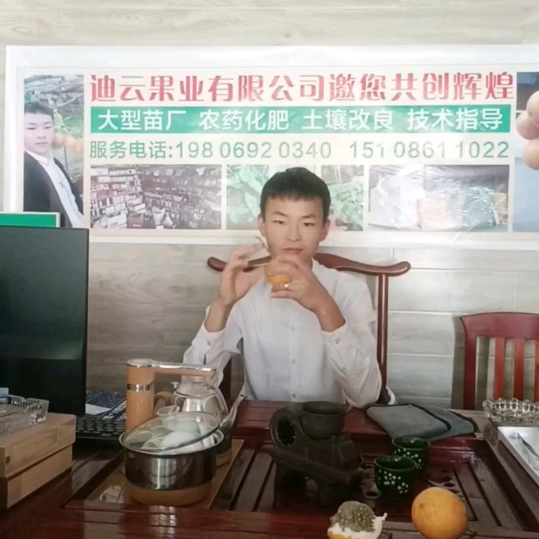 迪云果业