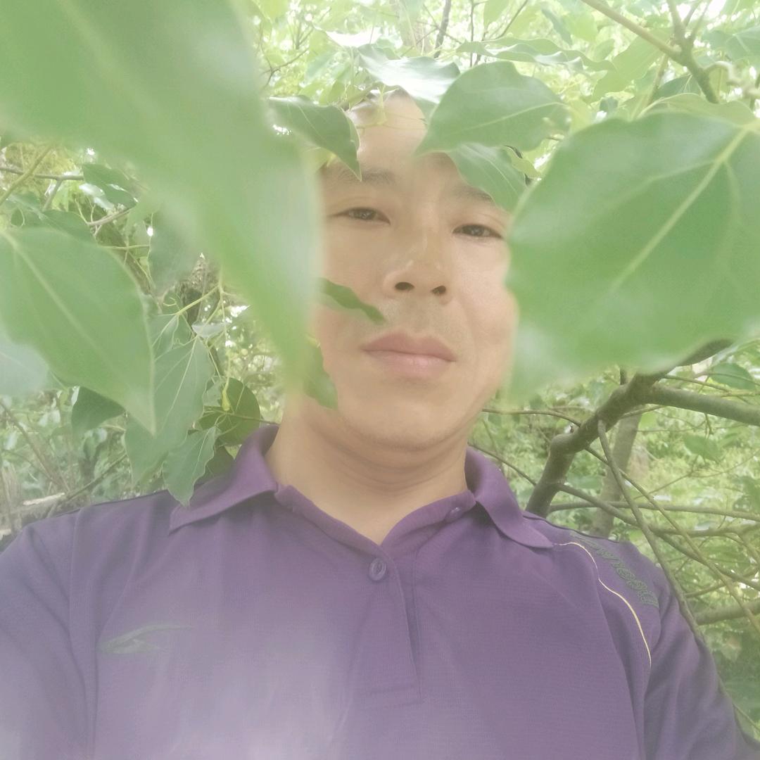 傻呼呼的喂