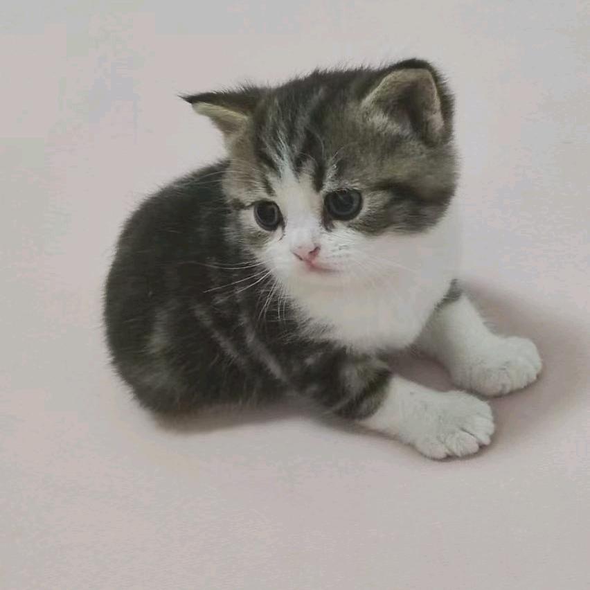 松下洗护薛春艳