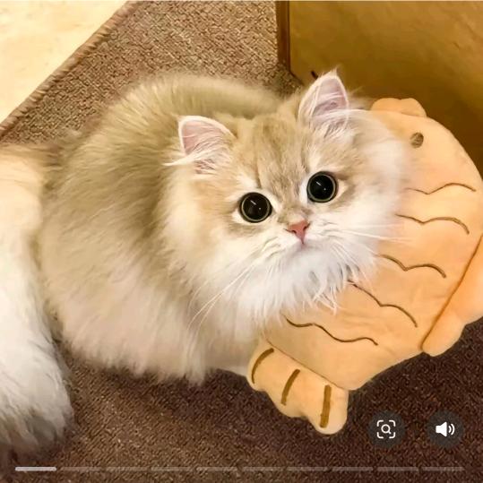甜甜哒哒哒