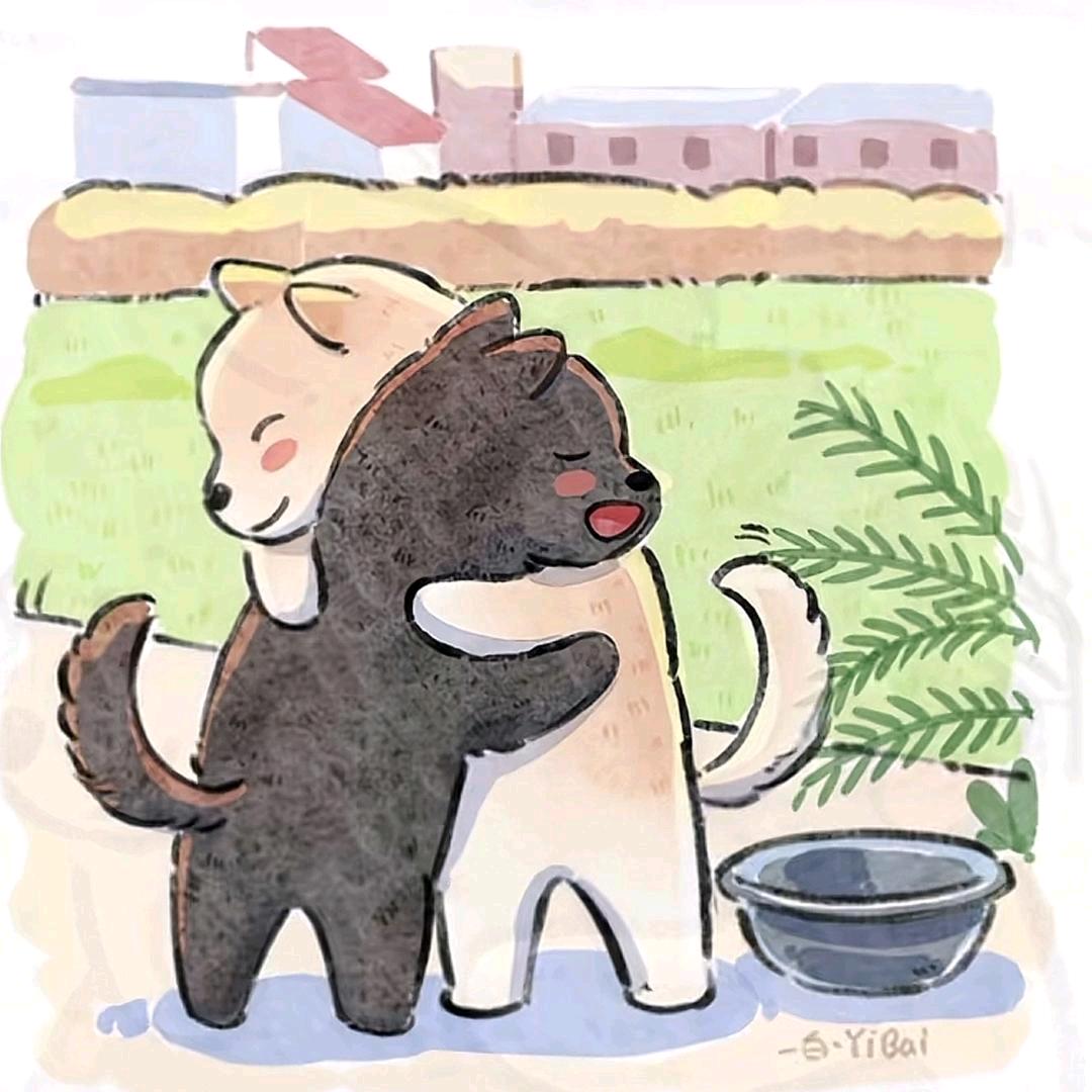 香橙