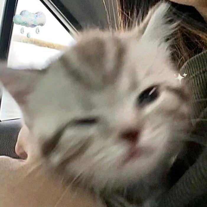 你你你要跳舞吗