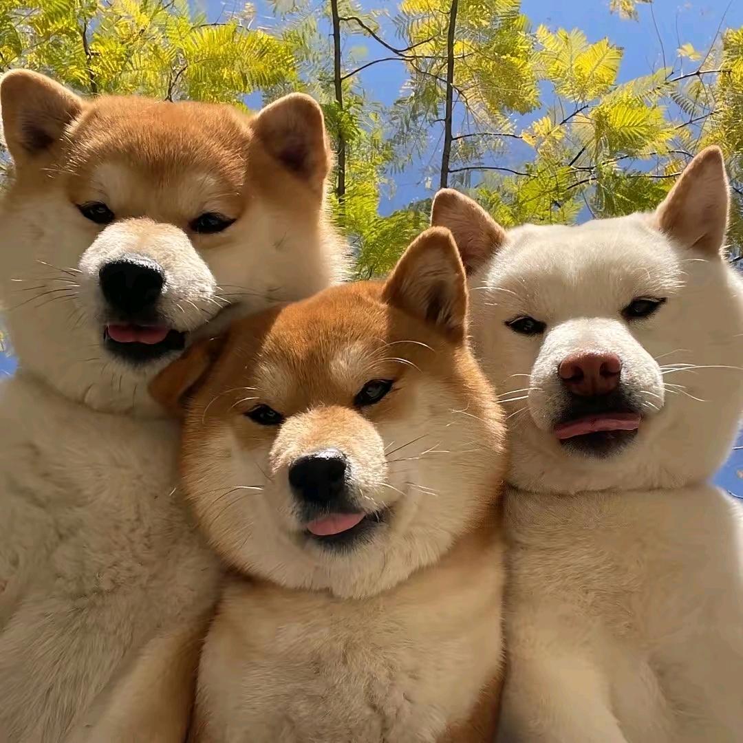 从你们世界里路过